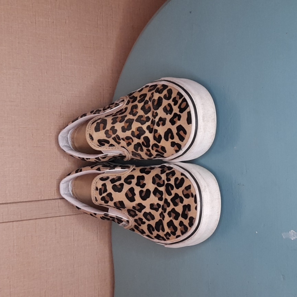 Cheetah Vans